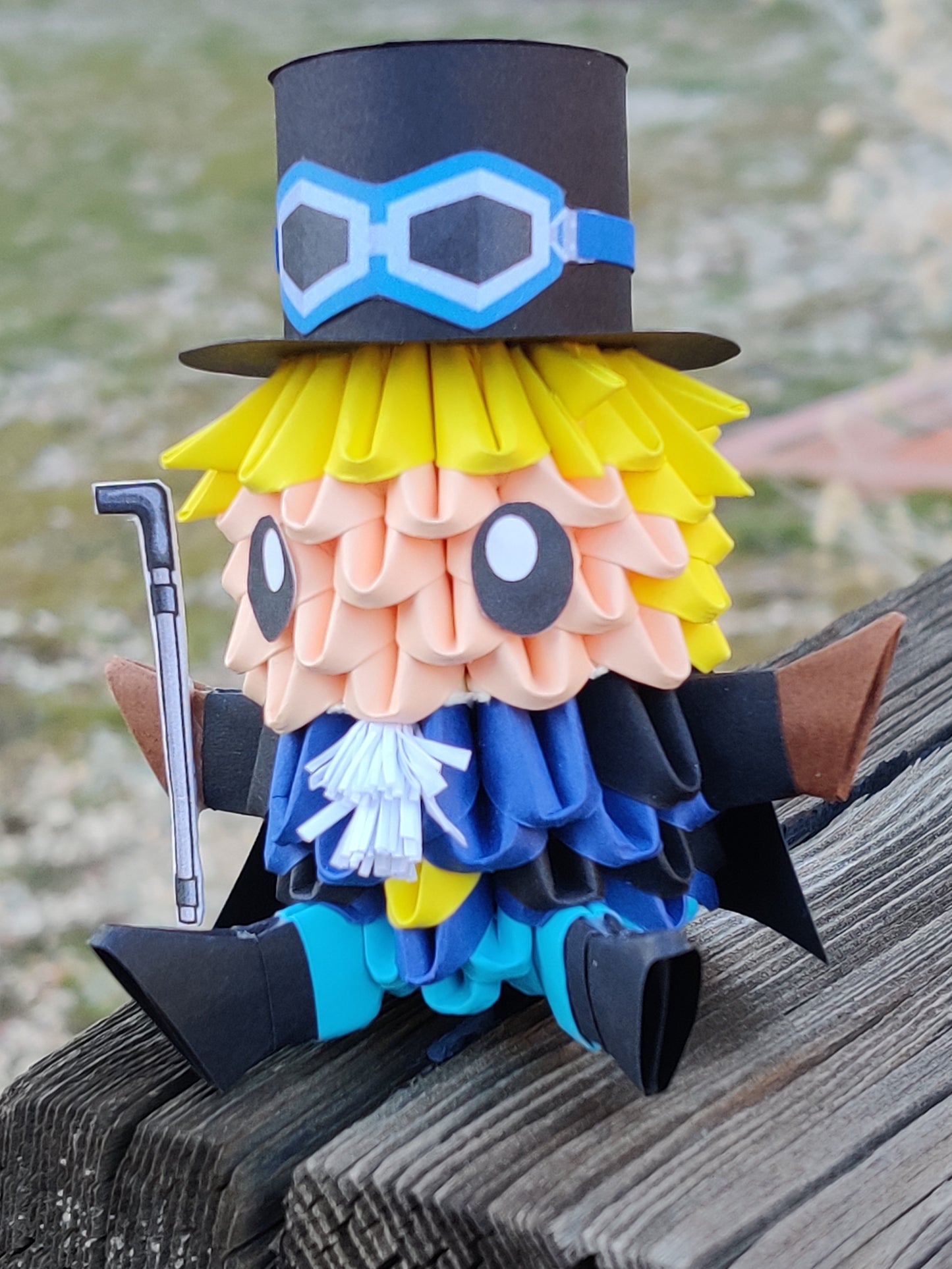 Pirate 29
