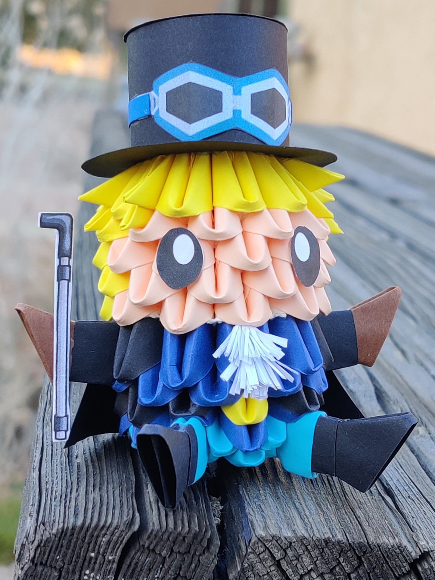 Pirate 29