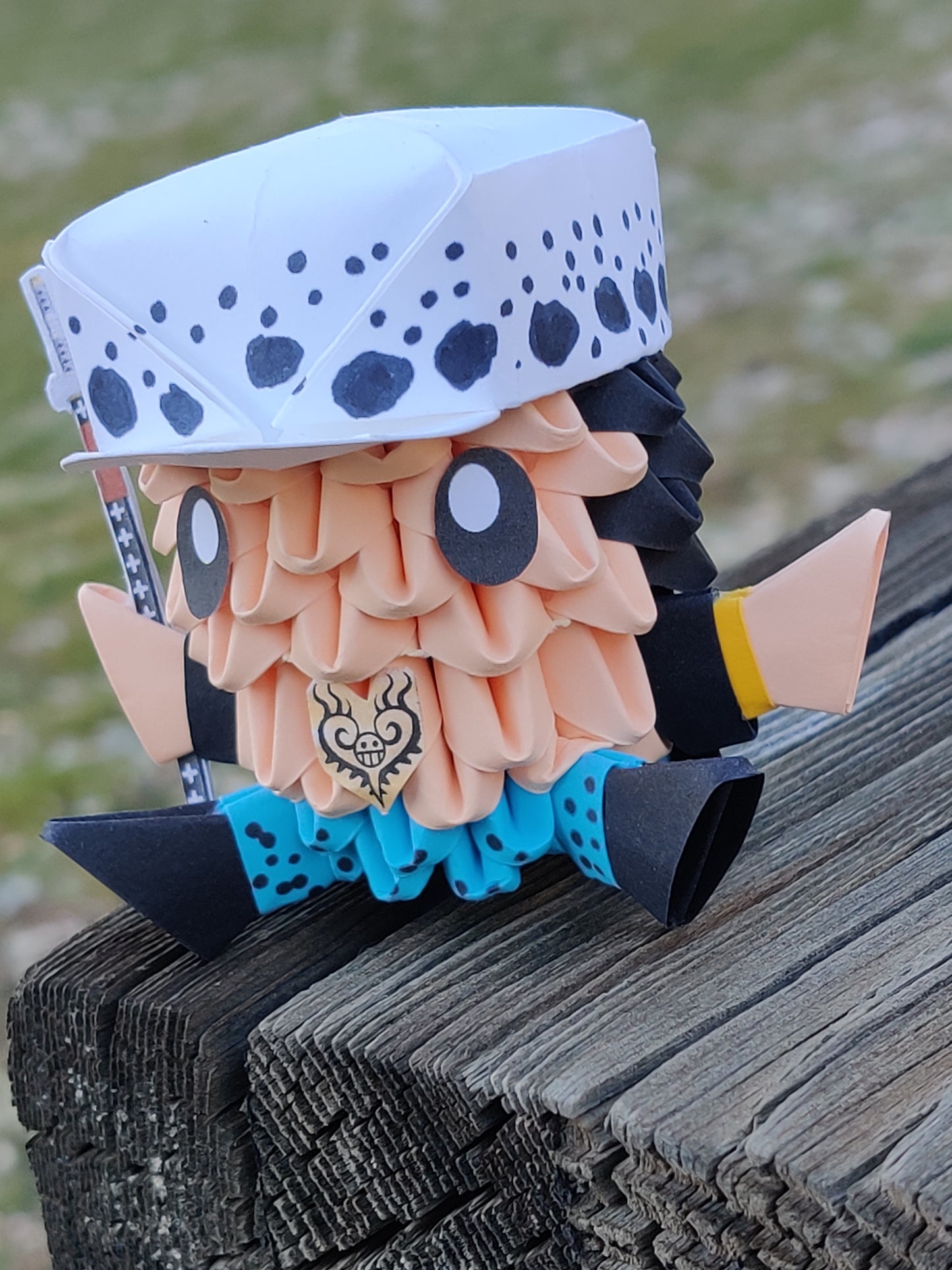 Pirate 25