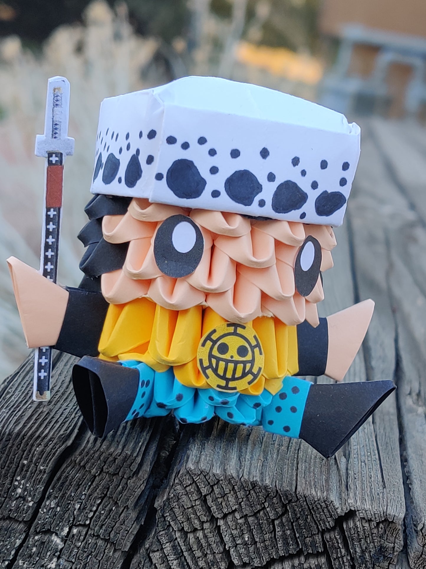 Pirate 24