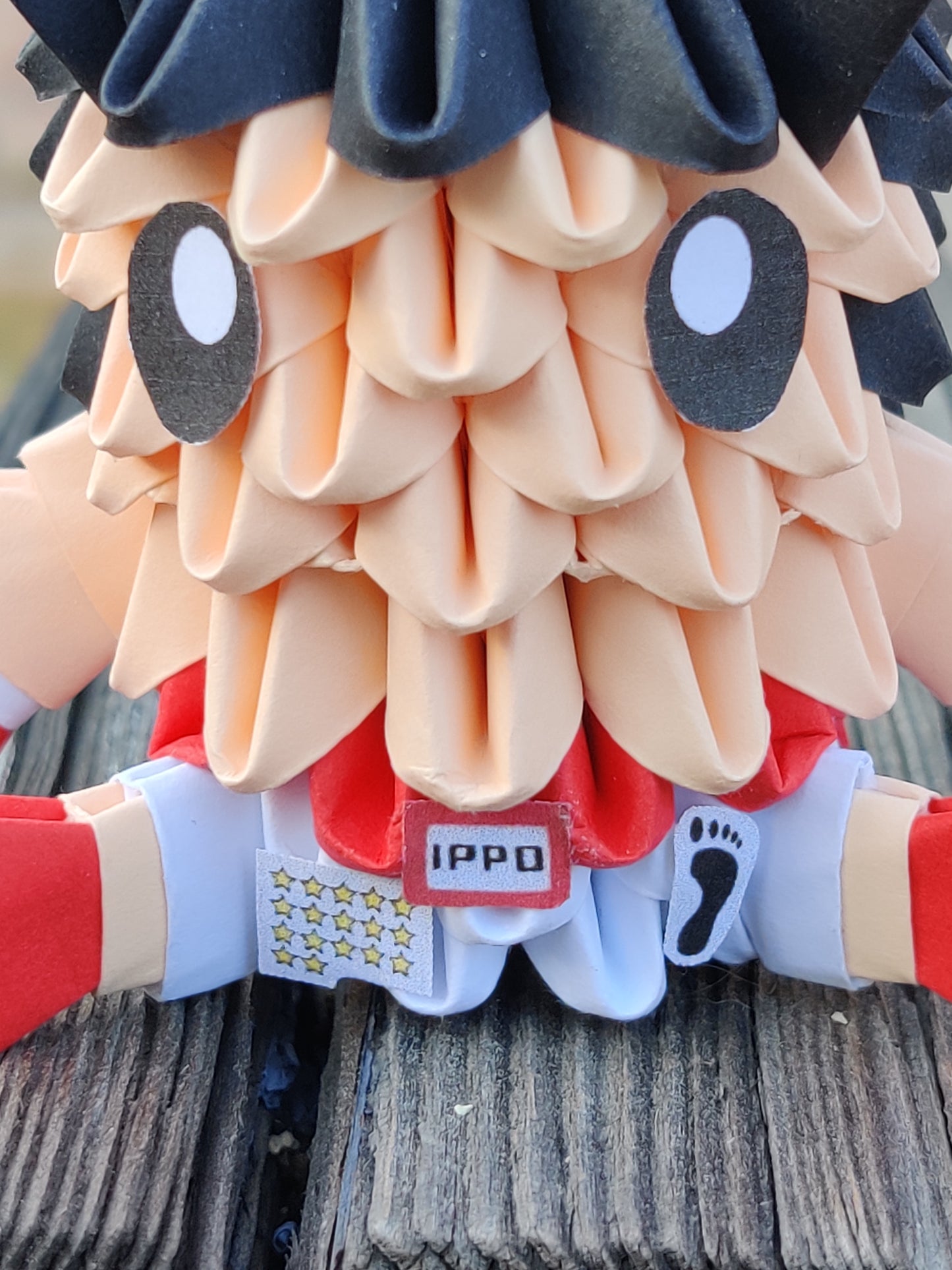 IPP Boxer